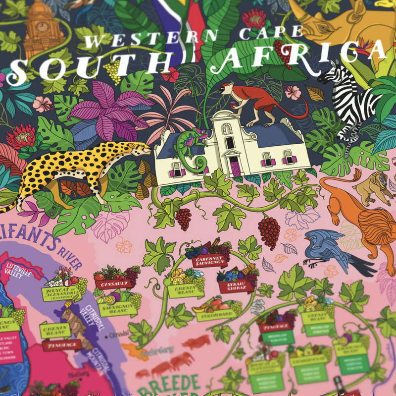 South Africa wine Poster